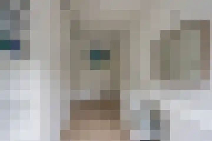 Dorser 2 Leusden thumbnail 15