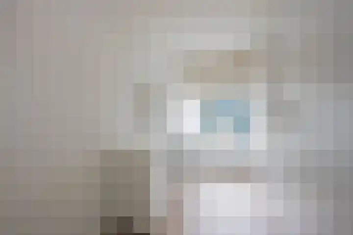 Dorser 2 Leusden thumbnail 16