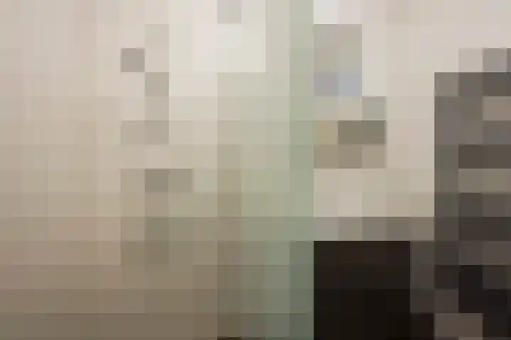 Dorser 2 Leusden thumbnail 17