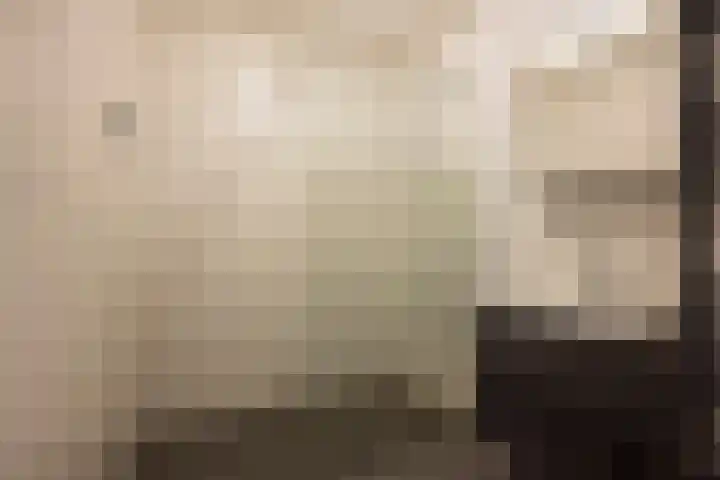 Dorser 2 Leusden thumbnail 18