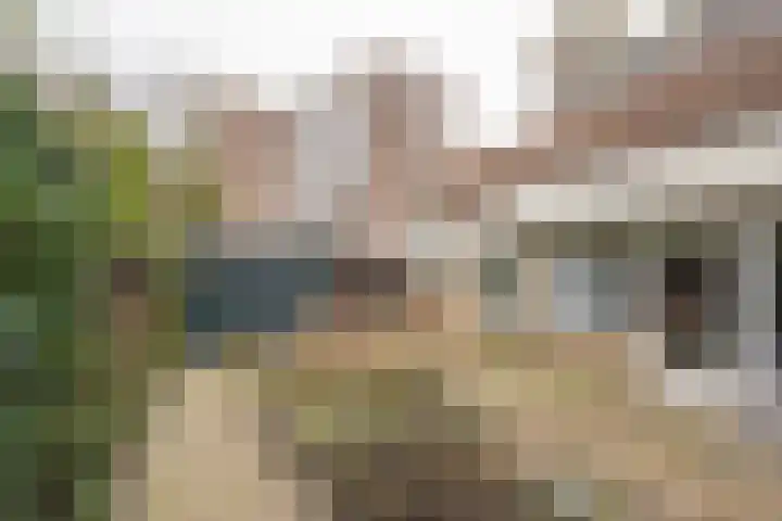 Dorser 2 Leusden thumbnail 19