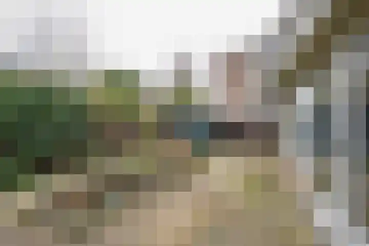 Dorser 2 Leusden thumbnail 20