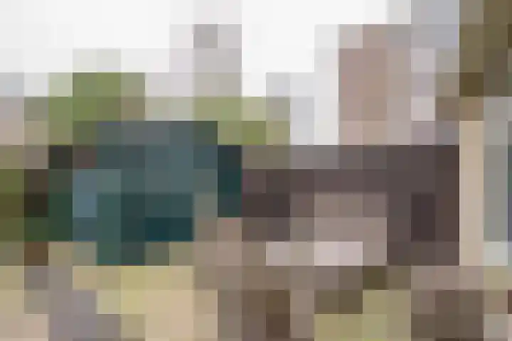 Dorser 2 Leusden thumbnail 21