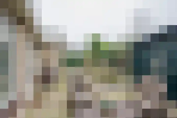 Dorser 2 Leusden thumbnail 22