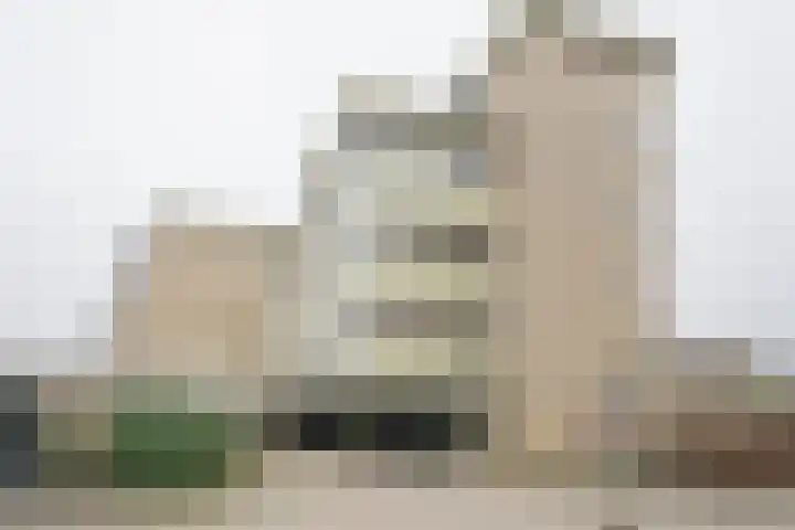 Dorser 2 Leusden thumbnail 23