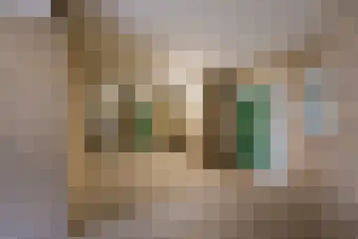 Dorser 2 Leusden thumbnail 24