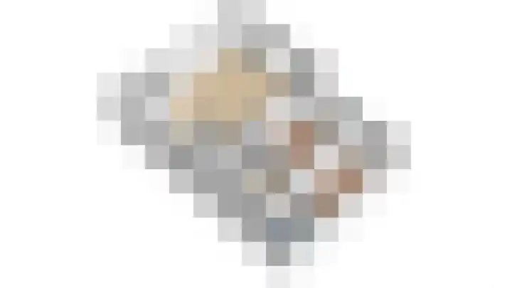 Dorser 2 Leusden thumbnail 26