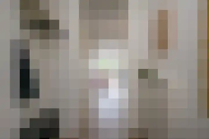 Dorser 2 Leusden thumbnail 4