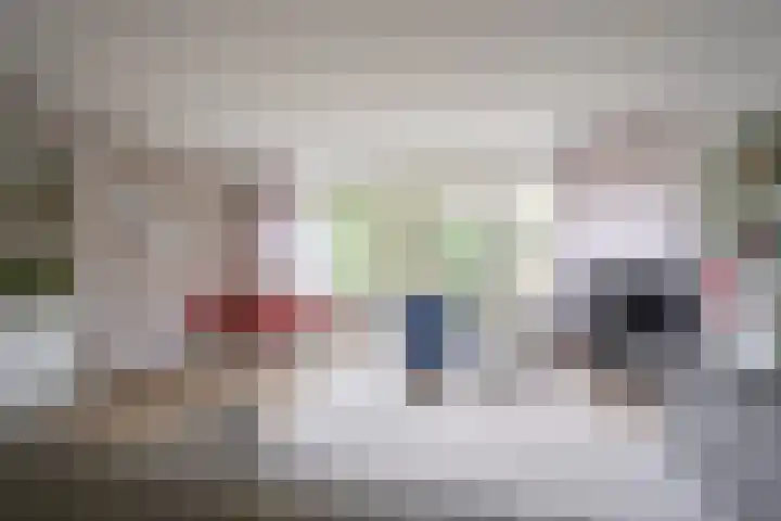 Dorser 2 Leusden thumbnail 5