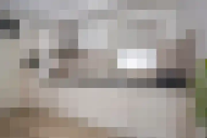 Dorser 2 Leusden thumbnail 8