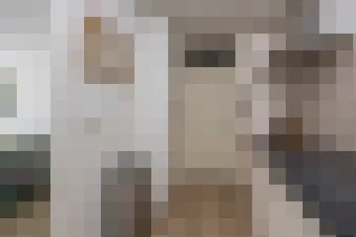 Dorser 2 Leusden thumbnail 9