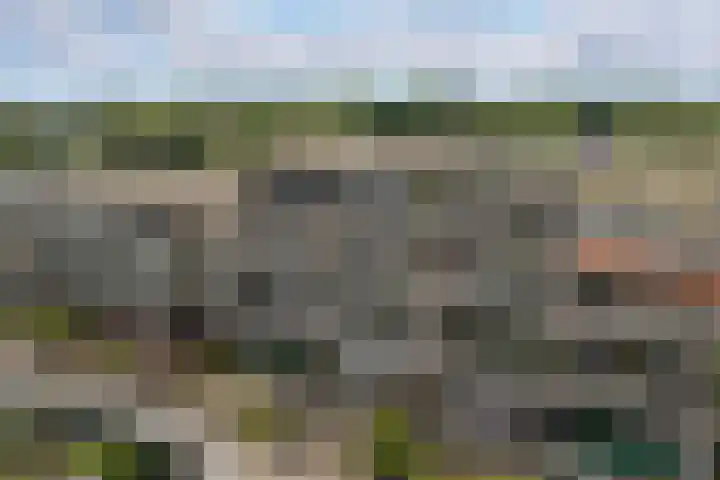 Dorser 48 in Leusden