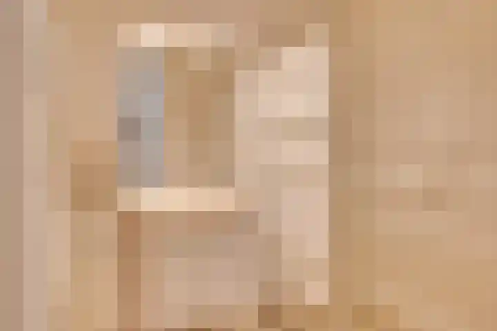 Dorser 48 Leusden thumbnail 17