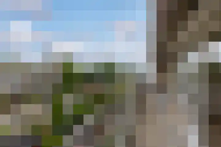 Dorser 48 Leusden thumbnail 20