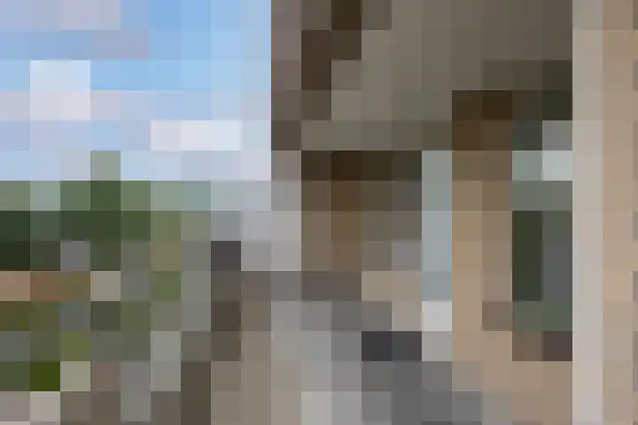 Dorser 48 Leusden thumbnail 21