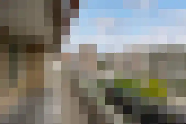 Dorser 48 Leusden thumbnail 22