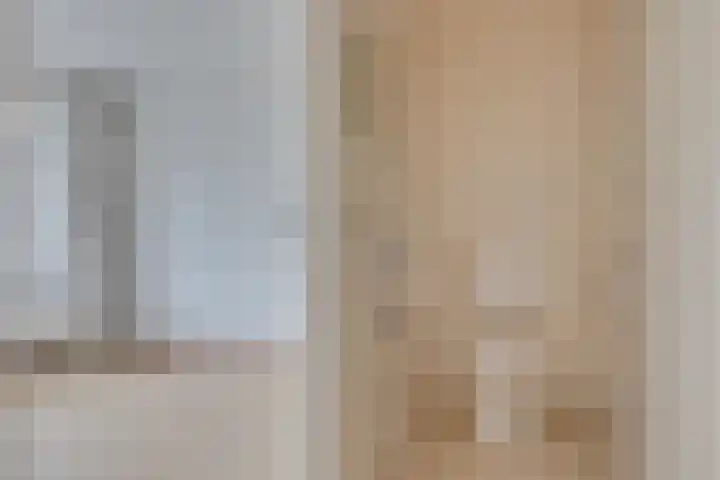 Dorser 48 Leusden thumbnail 24