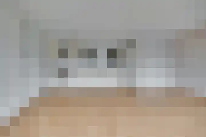 Dorser 48 Leusden thumbnail 9