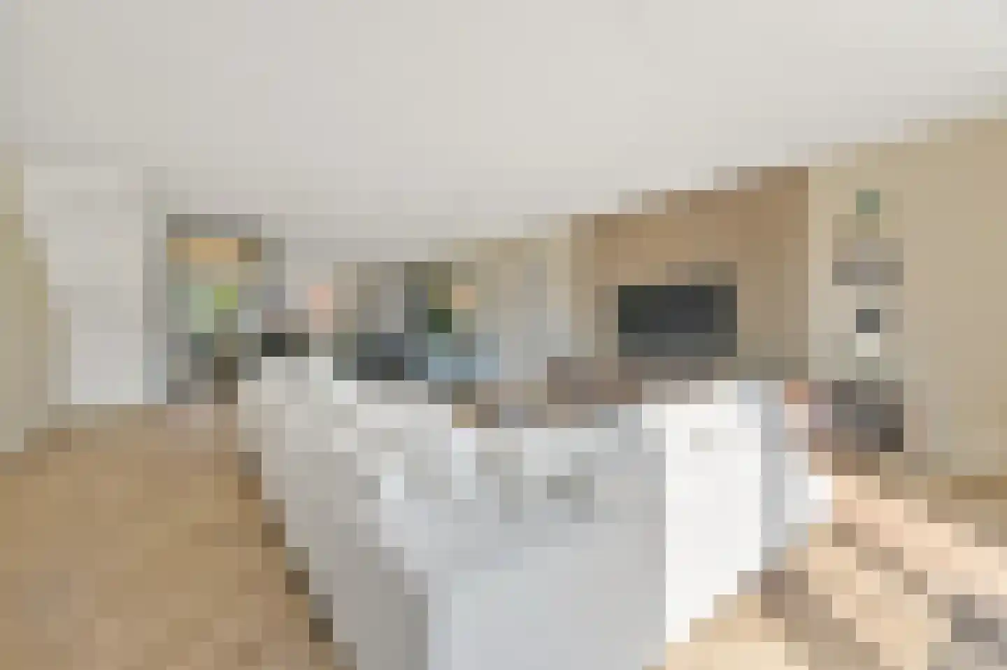 Dorserf 15 Benthuizen thumbnail 11