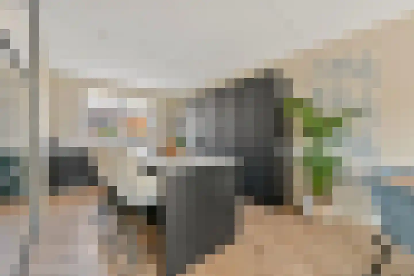 Dorserf 15 Benthuizen foto 2