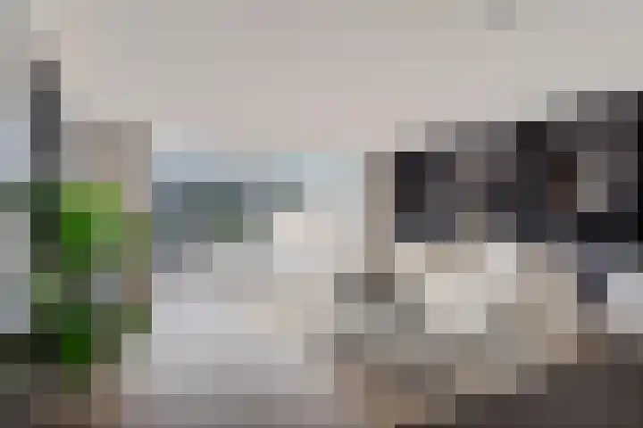 Dorserf 30 Benthuizen thumbnail 11