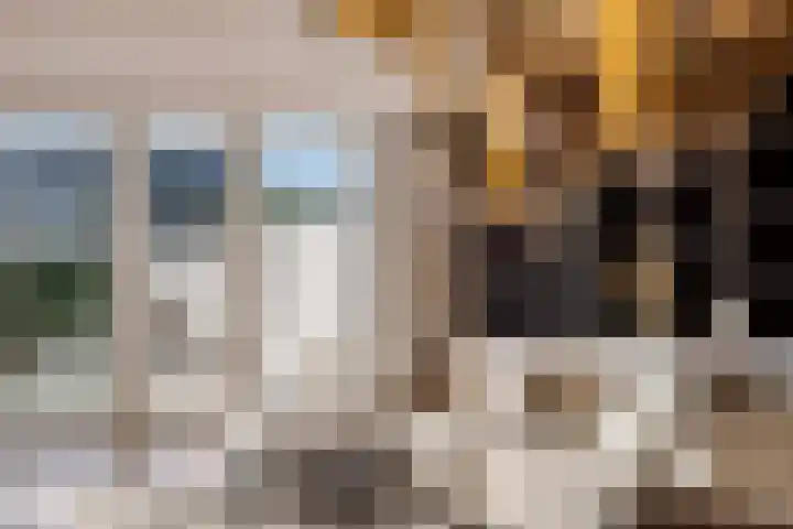 Dorserf 30 Benthuizen thumbnail 12
