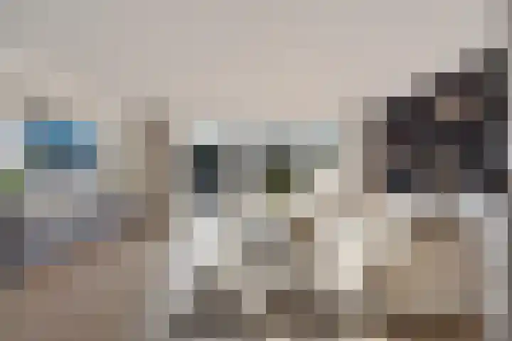 Dorserf 30 Benthuizen thumbnail 13