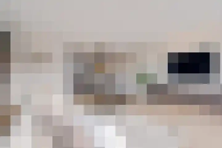 Dorserf 30 Benthuizen thumbnail 16