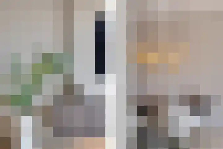 Dorserf 30 Benthuizen thumbnail 18