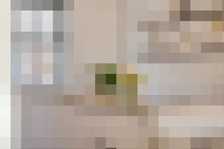 Dorserf 30 Benthuizen thumbnail 20