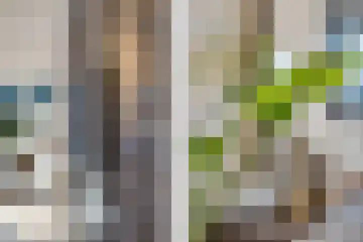Dorserf 30 Benthuizen thumbnail 21