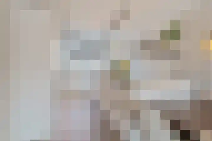 Dorserf 30 Benthuizen thumbnail 24