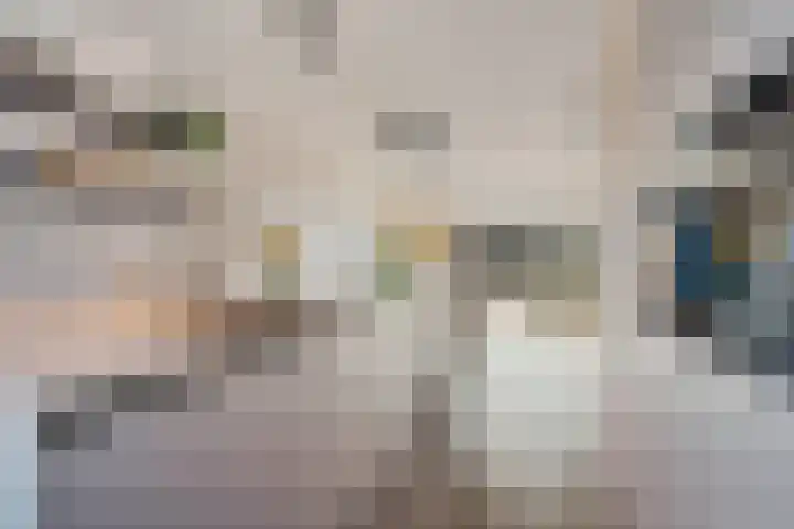 Dorserf 30 Benthuizen thumbnail 26