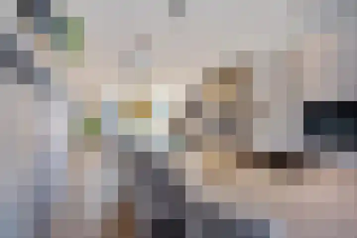 Dorserf 30 Benthuizen thumbnail 28