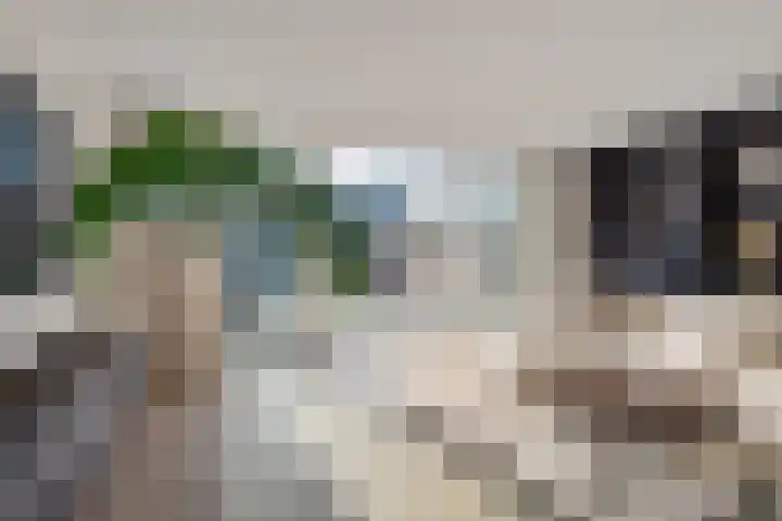 Dorserf 30 Benthuizen thumbnail 30