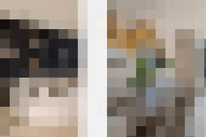 Dorserf 30 Benthuizen thumbnail 31