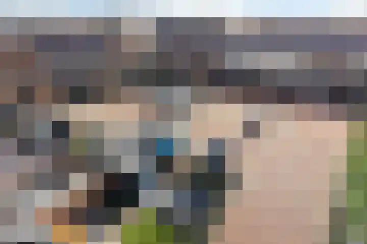 Dorserf 30 Benthuizen thumbnail 58