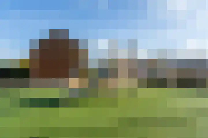 Dorserf 30 Benthuizen thumbnail 61