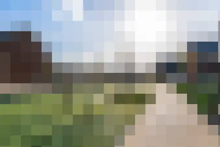 Dorserf 30 Benthuizen thumbnail 62