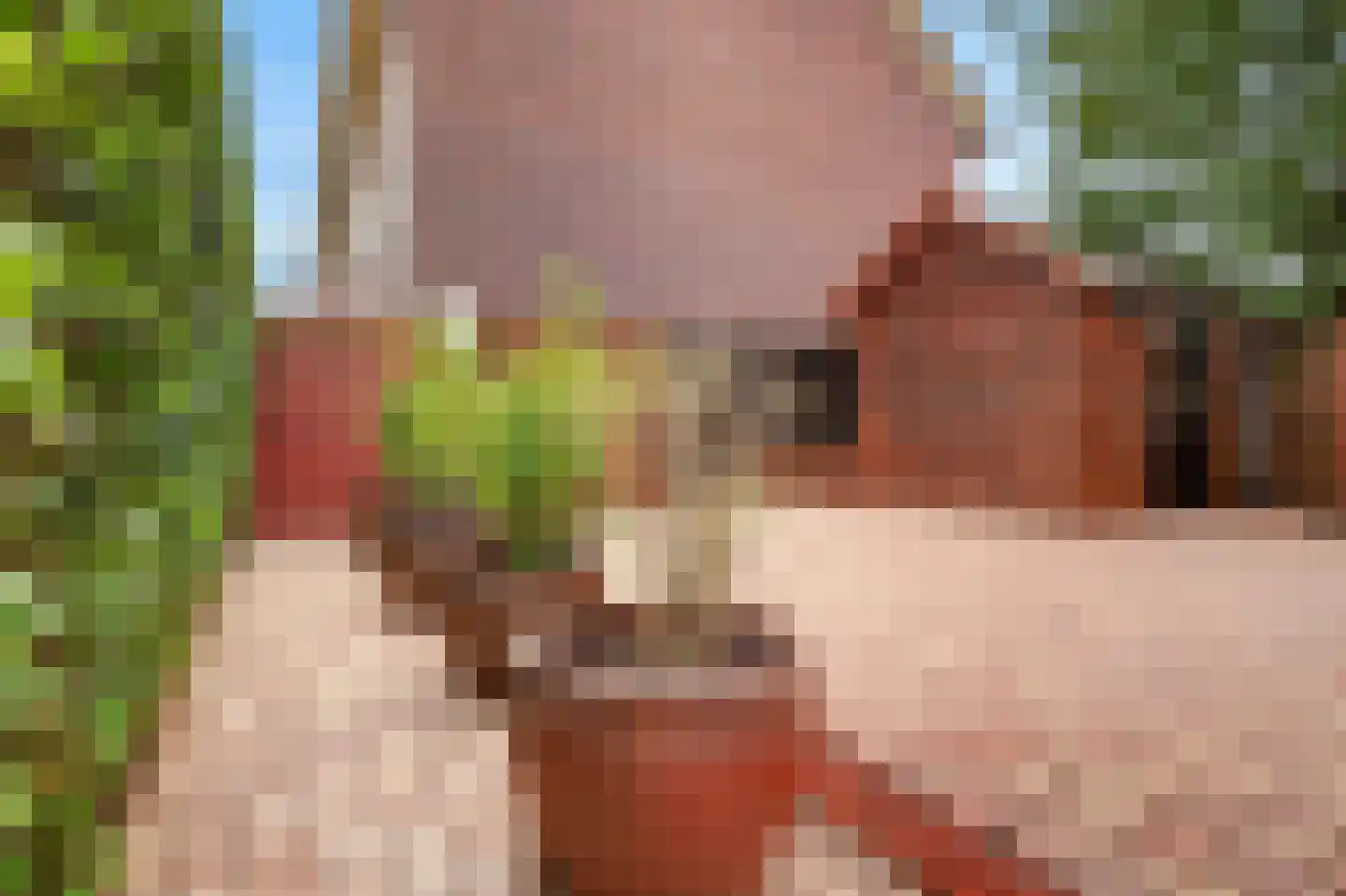 Dorserserf 1 Arnhem thumbnail 27