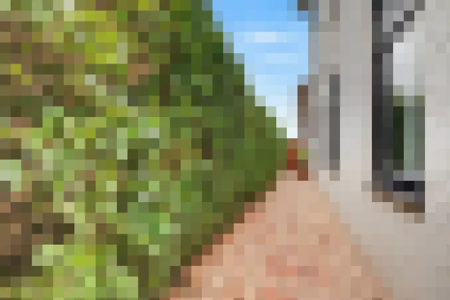 Dorserserf 1 Arnhem thumbnail 28
