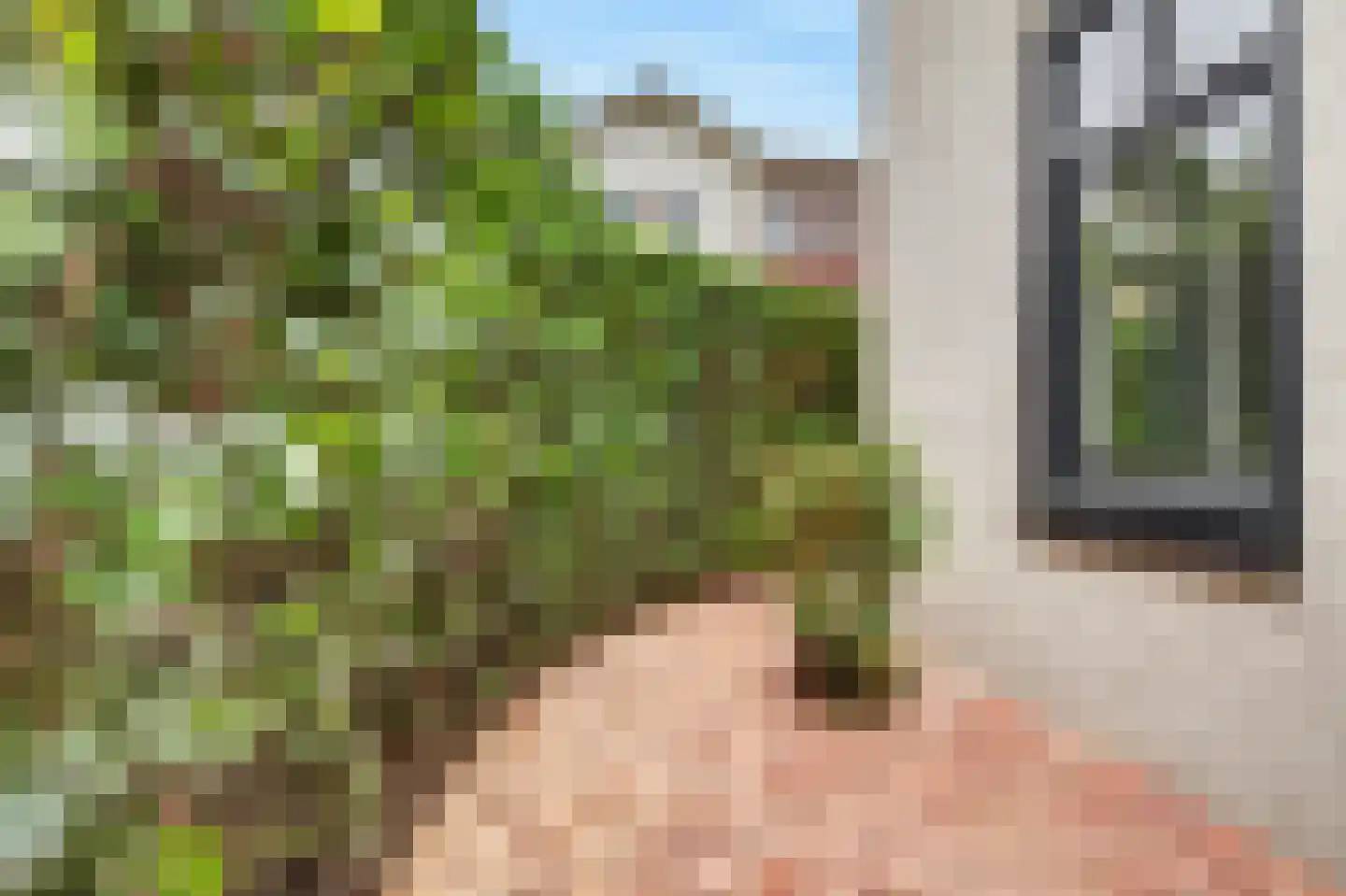 Dorserserf 1 Arnhem thumbnail 29