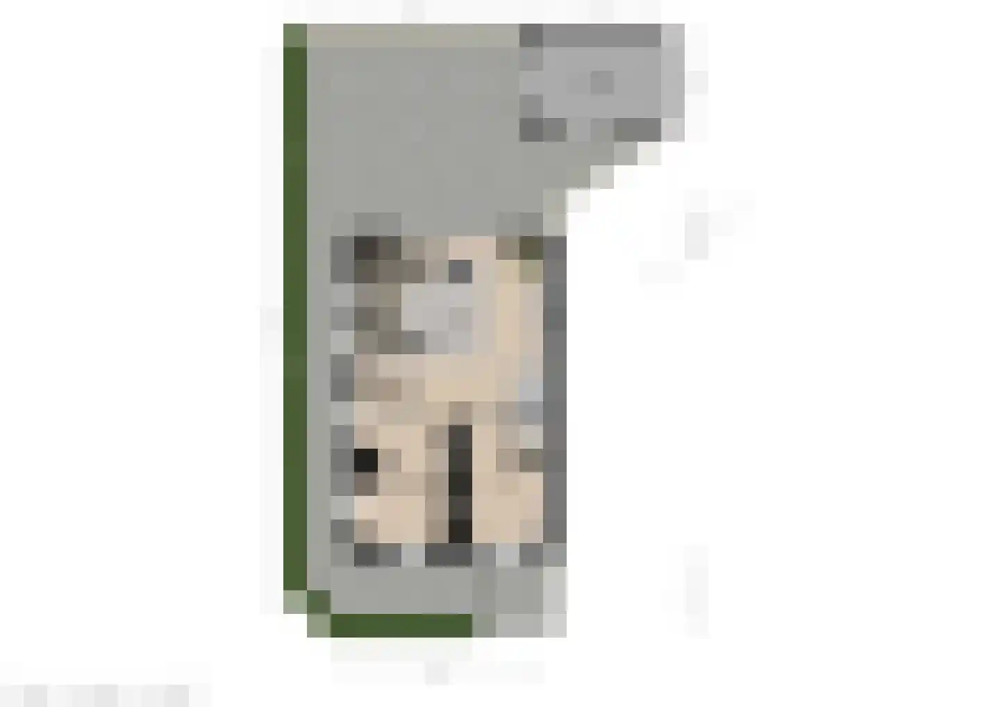 Dorserserf 1 Arnhem thumbnail 37