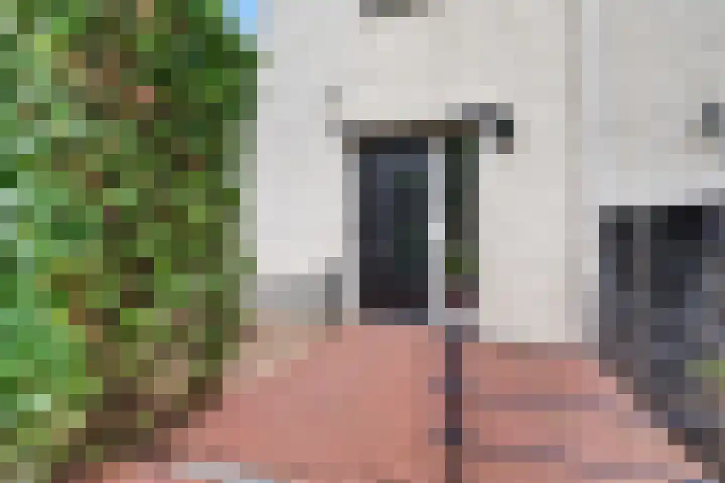 Dorserserf 1 Arnhem thumbnail 5
