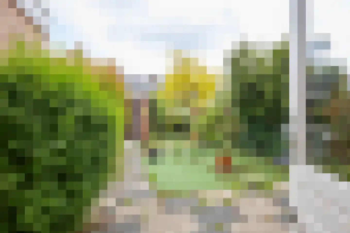 Dorsersstraat 53 Nieuw-Vennep thumbnail 51