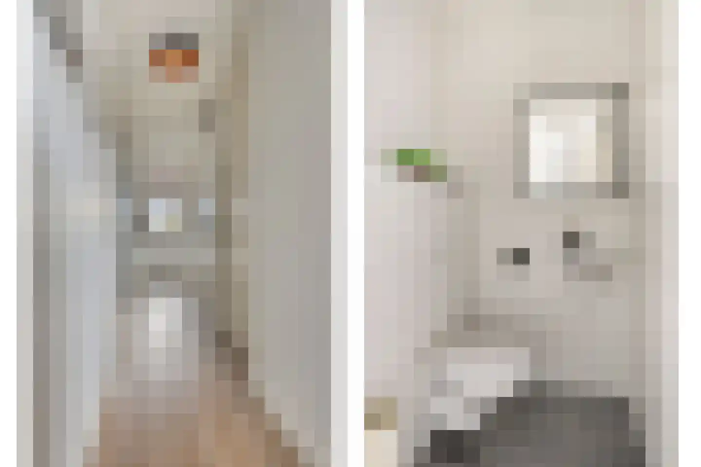 Dorskarstraat 11 Made thumbnail 6