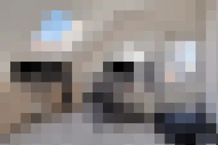 Dorskarstraat 15 Made thumbnail 28