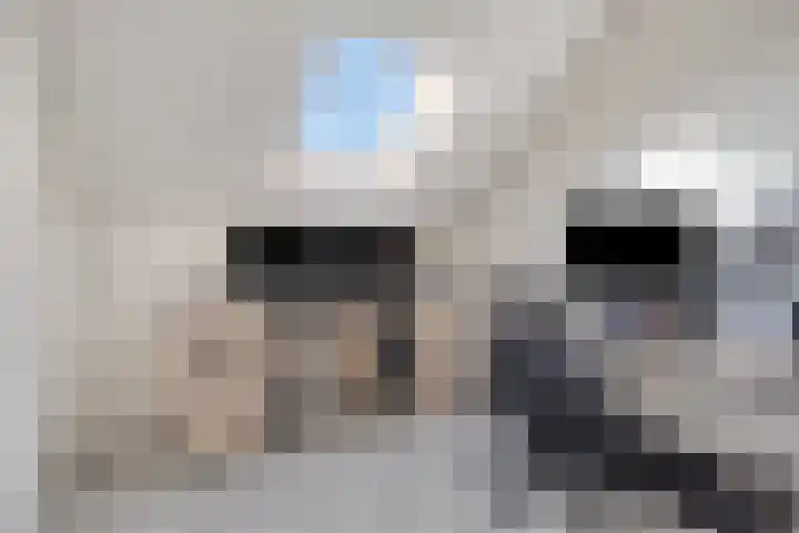 Dorskarstraat 15 Made thumbnail 31