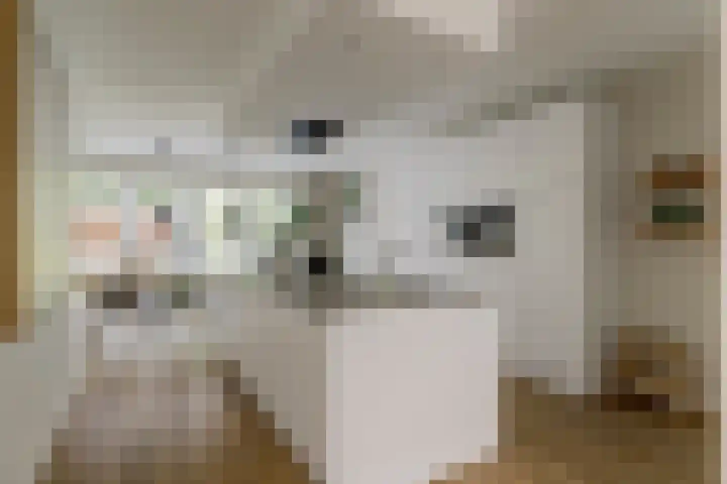 Dorskarstraat 19 Made thumbnail 16