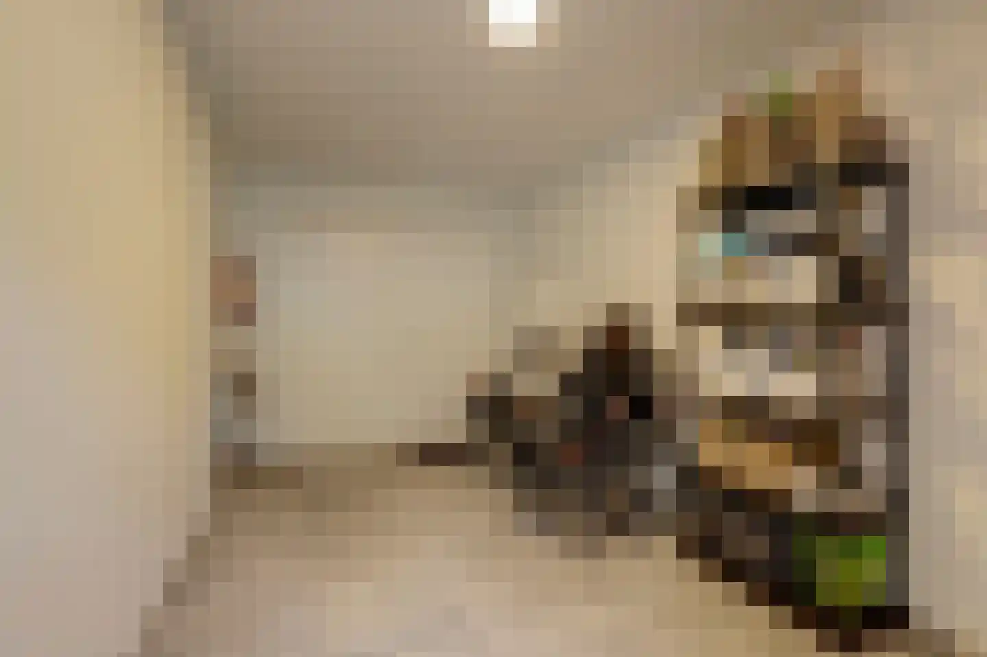 Dorskarstraat 19 Made thumbnail 23